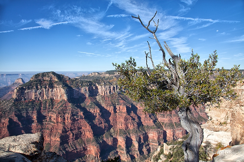 Direkt an der Steilkante